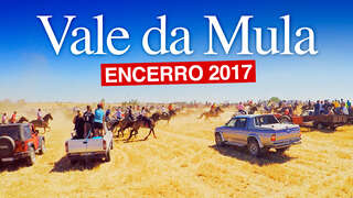 Encerro de Toiros de Vale da Mula 2017