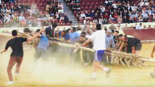 Susto debaixo do forcão na 40ª Capeia Arraiana no Campo Pequeno